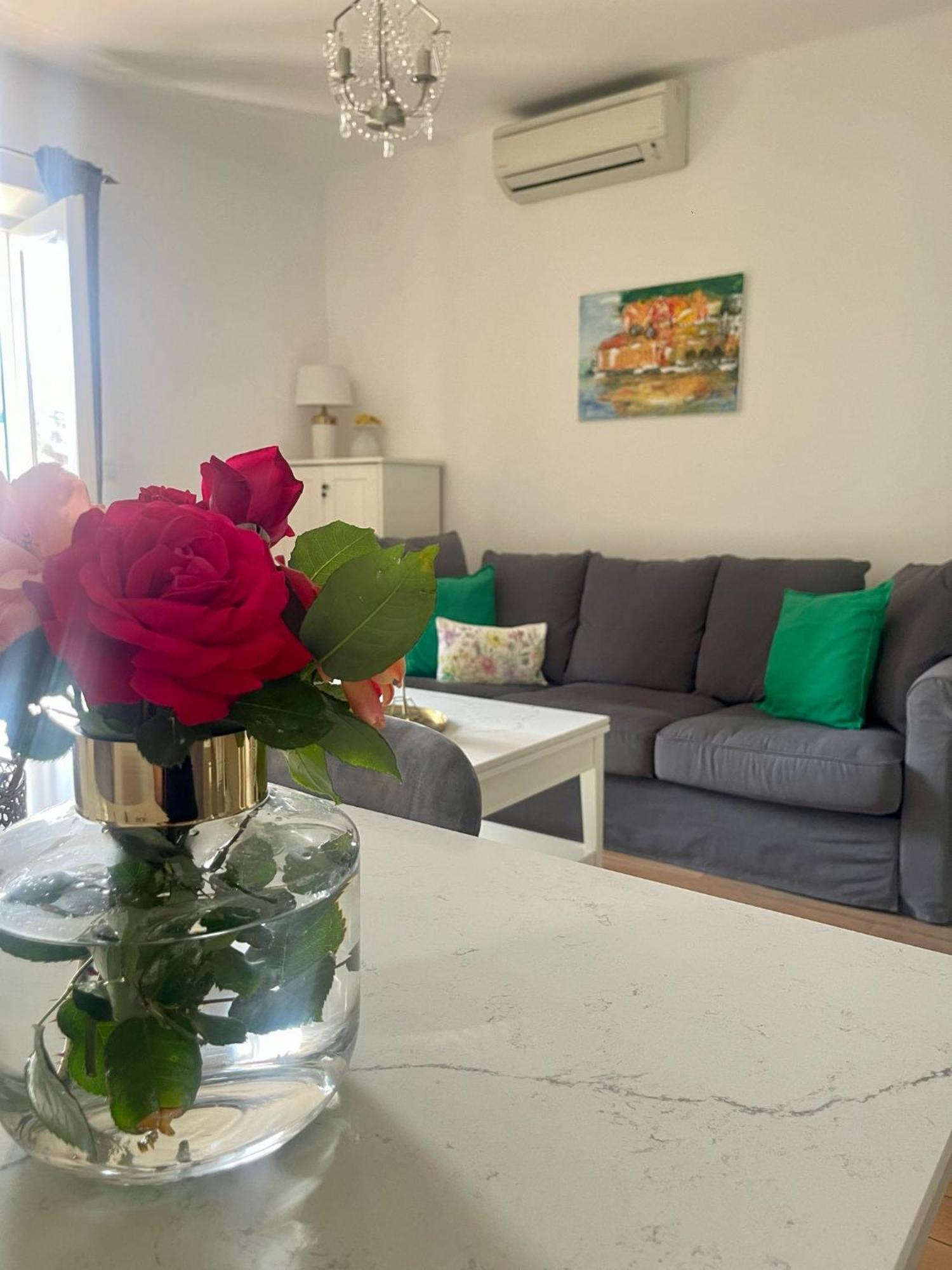 Apartament Ortenca